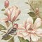 Magnolia Collage II Poster Print by Pamela Gladding - Item # VARPDXGLA547